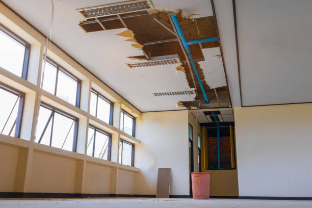 Best Residential water damage restoration  in West Union, IA