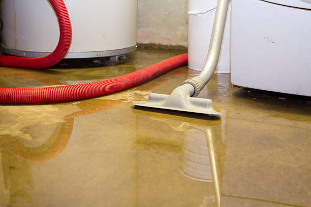 Best Water damage restoration near me  in West Union, IA